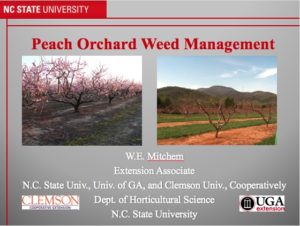Cover photo for Fall Is the Best Time to Begin Orchard Weed Control