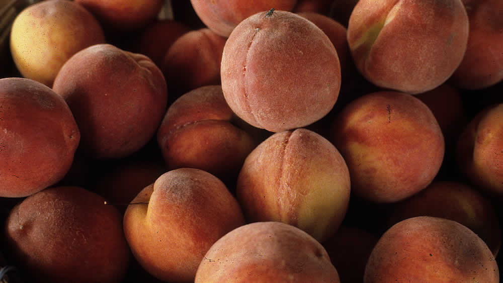 N.C. Peach Statistics NC State Extension