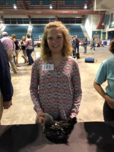 Sierra showing a Wyandote Hen at the 4-H and FFA Coastal Plains Chicken Project 2018