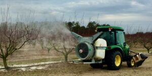 Airblast sprayer with peach trees